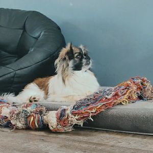 Meet your Posher, Audrey